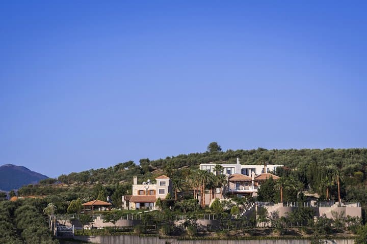 Athina Luxury Villas photo 4