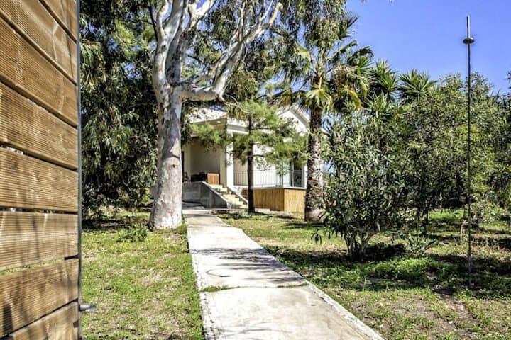 Myrtia Beach House photo 5
