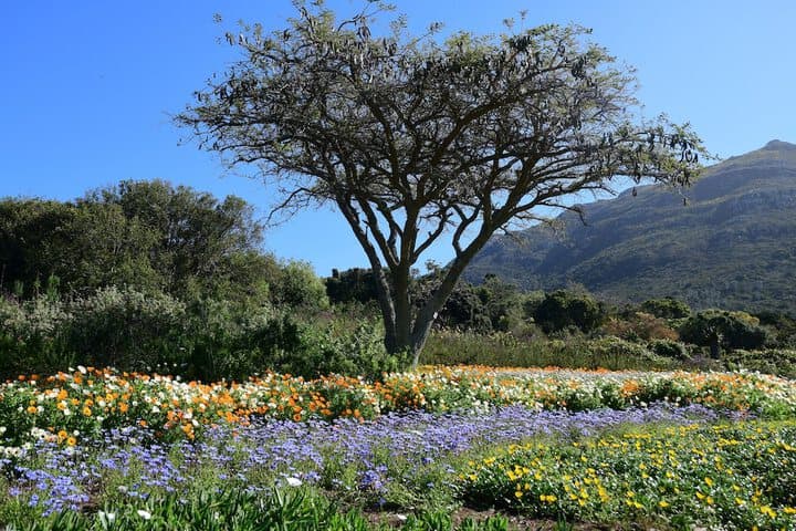 Bradclin Newlands photo 5