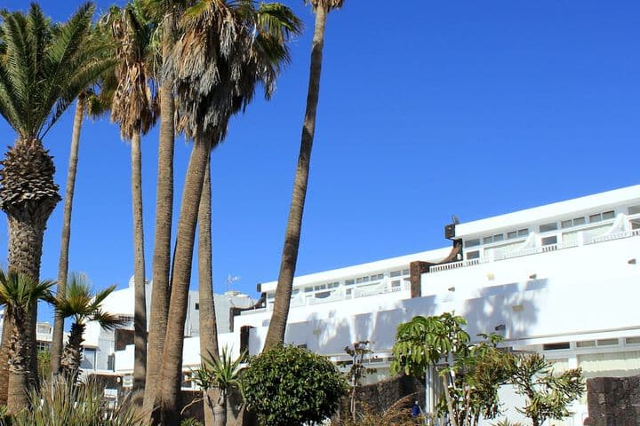 Arena Dorada Apartments photo 4