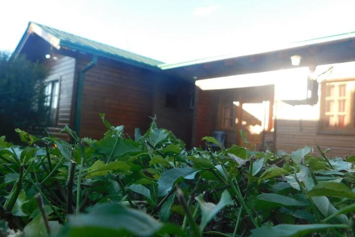 Cabañas Araticu photo 4