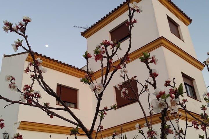 Hostal Rural la Plata photo 4