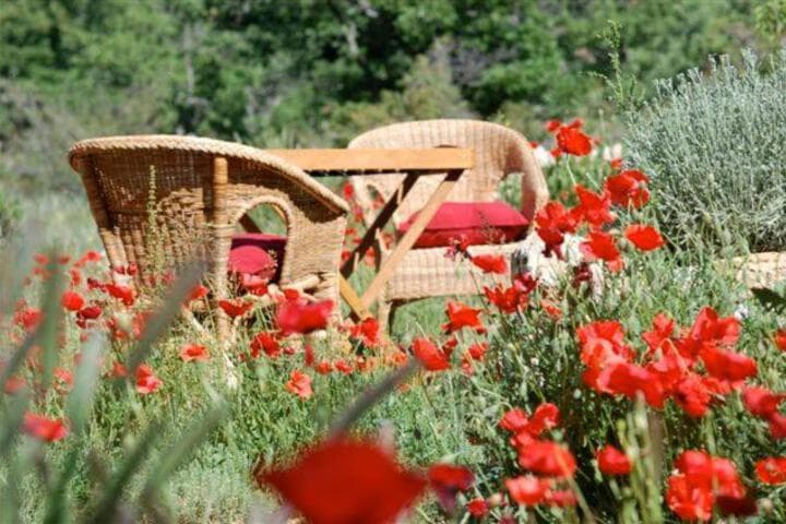 Maison Rouge photo 3