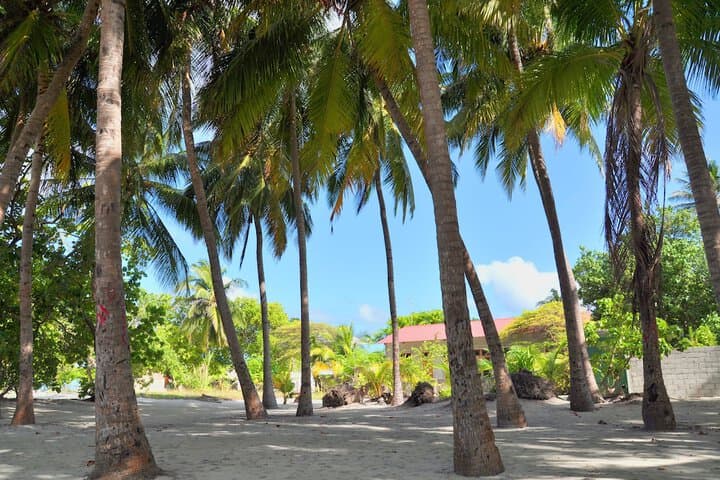Rashu Hiyaa photo 4