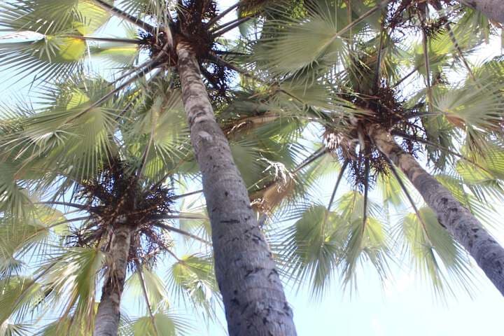 Maya Guest Inn photo 3