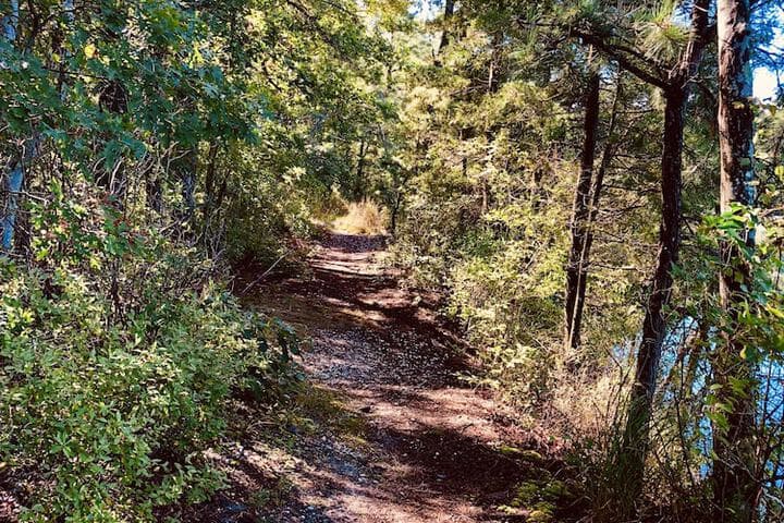 Swan Lake Resort Rentals photo 4
