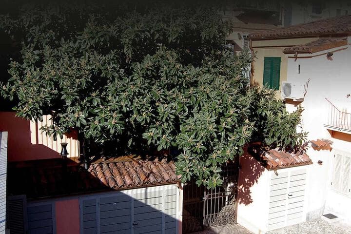 Residenza Il Nespolo Estella Hotels Italia photo 5