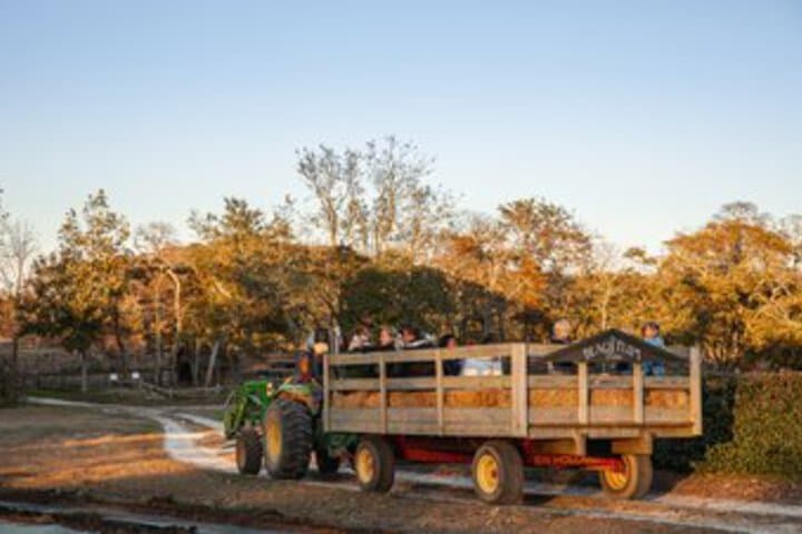 Beach Plum Farm Cottages photo 4