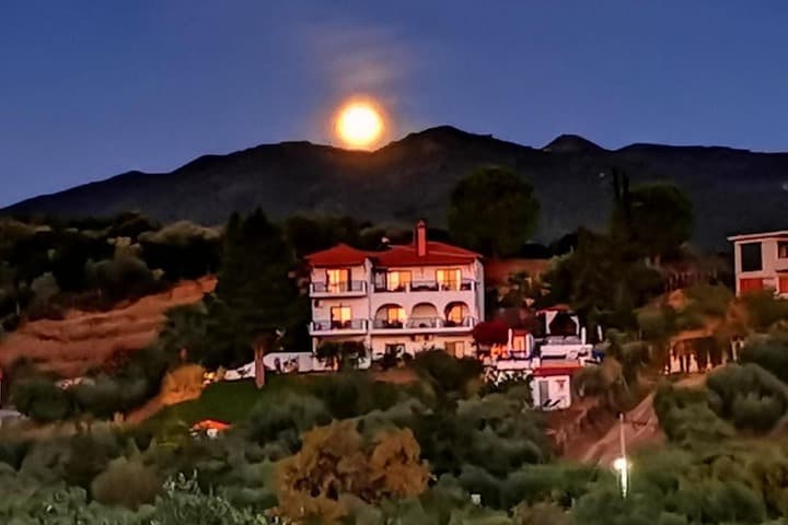 SartiVista photo 3
