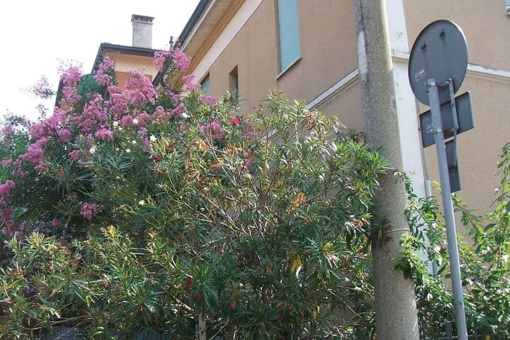 B&B Accorsi photo 3