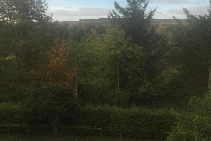 Braeside photo 4