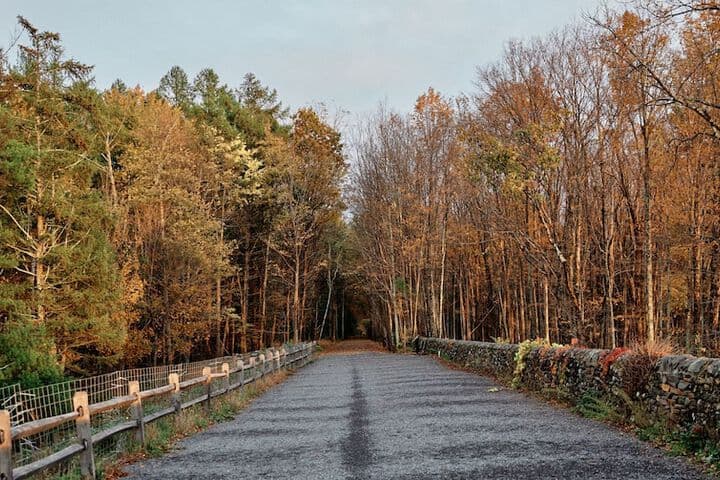 AutoCamp Catskills photo 4