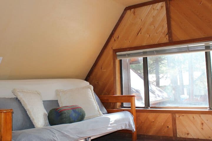 Viola Haven photo 5