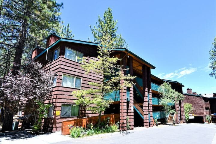 Snow Lake Lodge photo 4