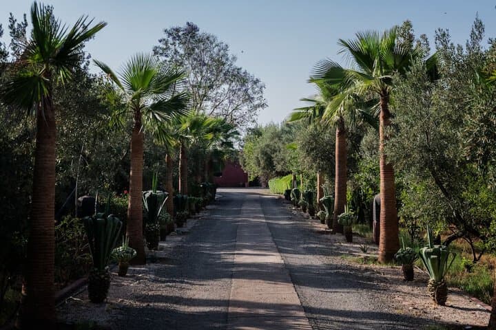 Al Riad Inou photo 5