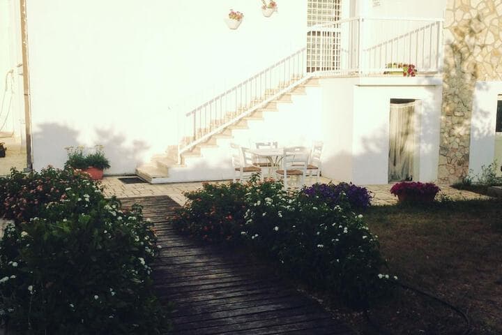 Mazzara Farm photo 4