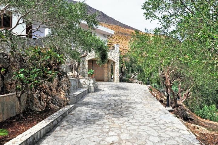Villa Mediterranea photo 2