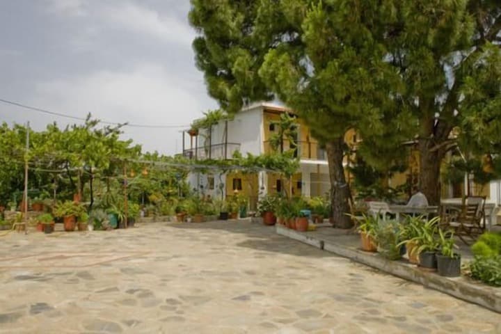 Villa Kavourakia photo 3