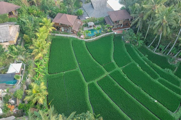 Gusde Tranquil Villas by EPS photo 3