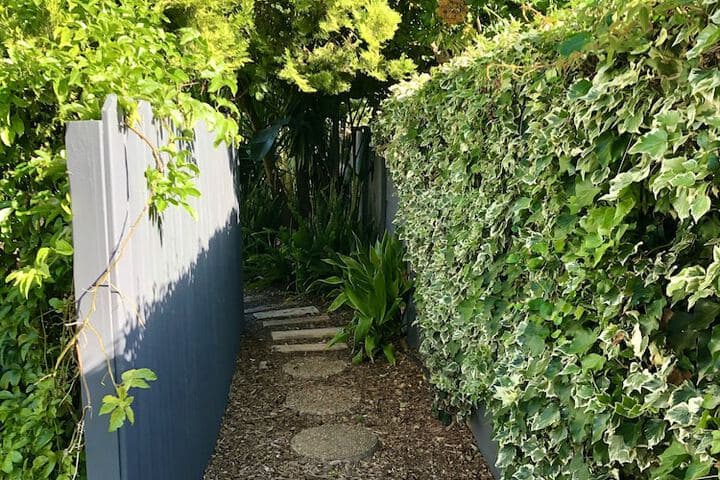 Pelican Lodge photo 5