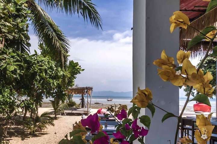 Dancing Elephant Beach Club Hostel photo 2