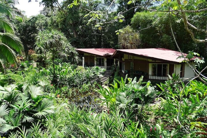 Heliconia Island photo 2