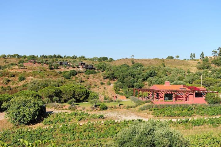 Eco Suites Resort photo 3