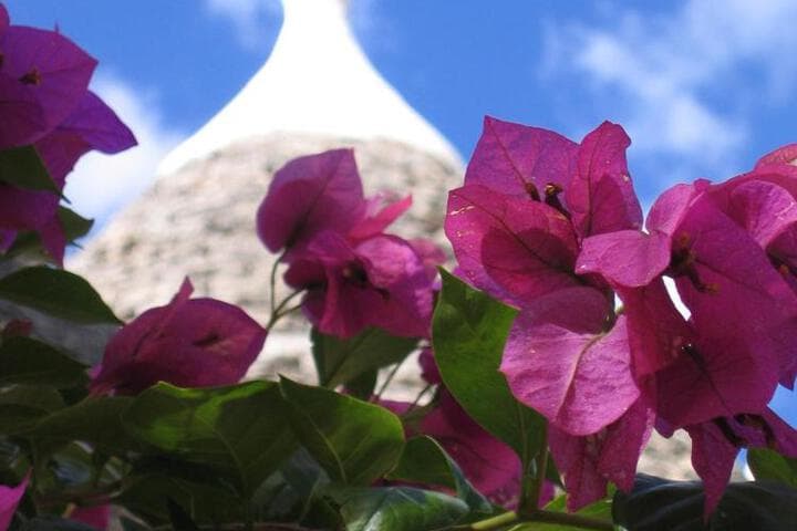 Vacanza in Puglia photo 4