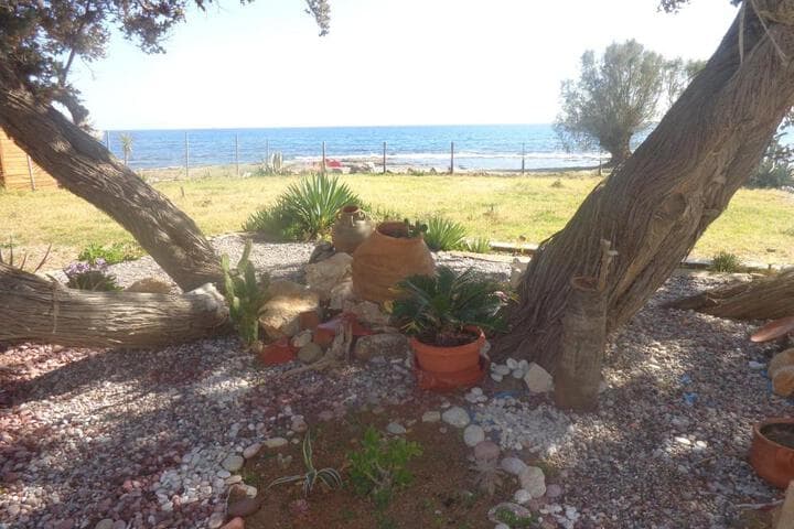 Nicholas Beach Studios photo 3