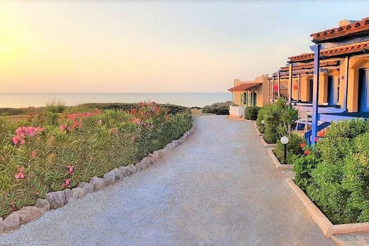 Zorbas Beach Village Hotel photo 2