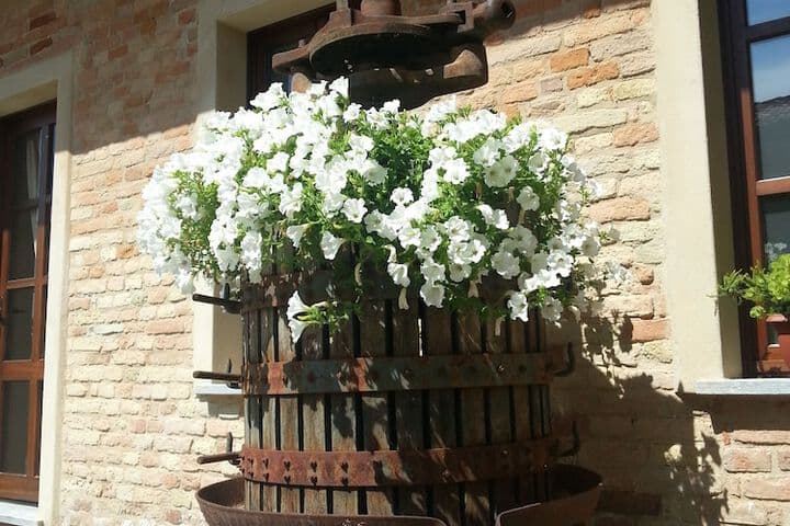 Dimora Cortese photo 2