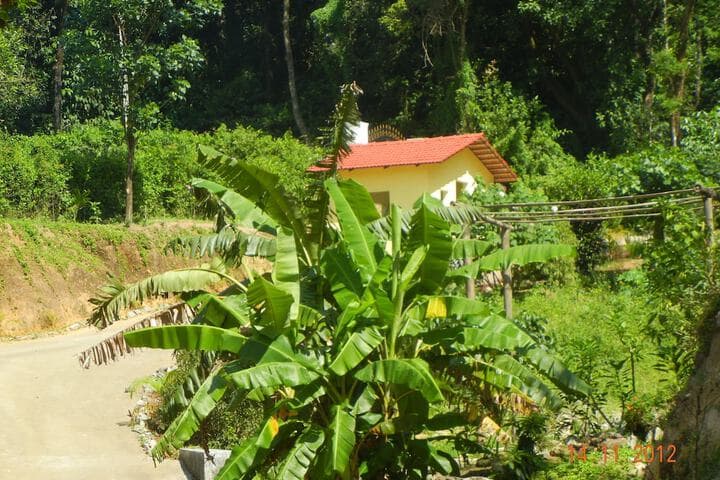 Amritasthanam Guest House&Retreat photo 2