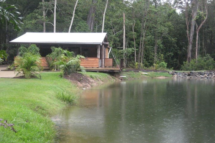 Rainforest Ranch photo 4