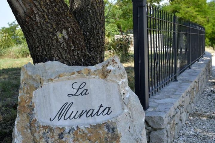 La Murata photo 4
