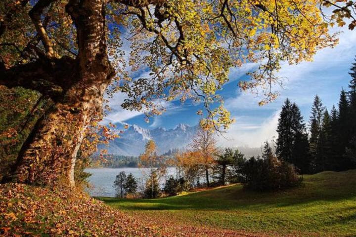 Travel scenery