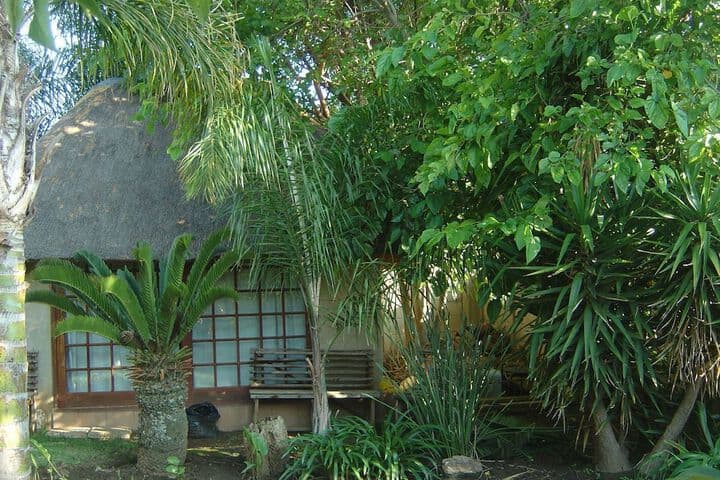 Airport Modjadji Guesthouse photo 2