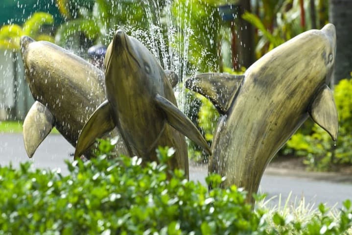 Cairns Coconut Holiday Resort photo 2