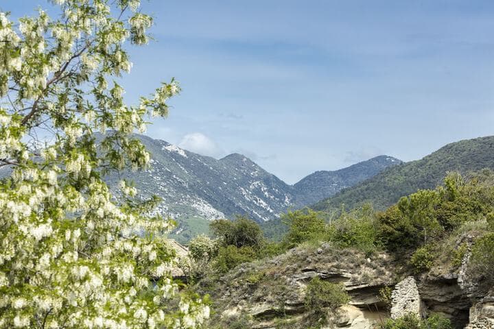 Garden & City Mont Ventoux Malaucène photo 2