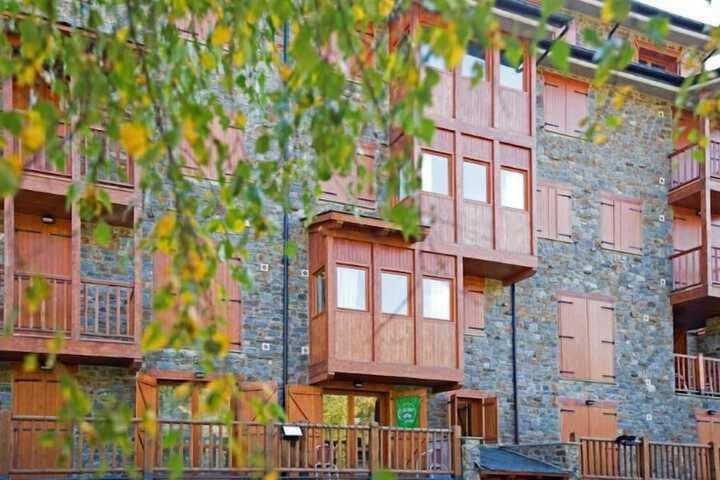 La Pleta de Soldeu Apartments photo 4