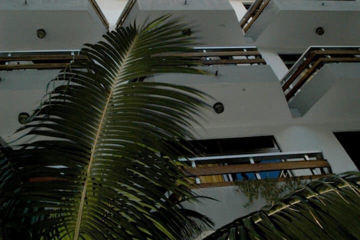 Apartamentos Brisamar Canteras photo 4