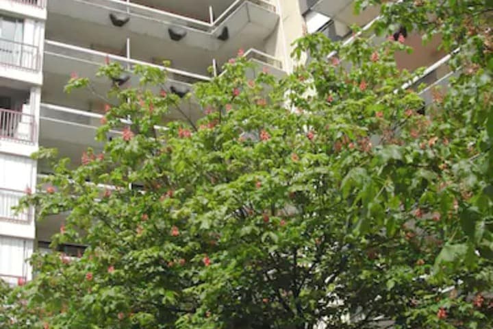 Les Palatines Residence photo 2