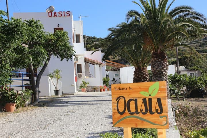 Oasis Rooms & Studios photo 4