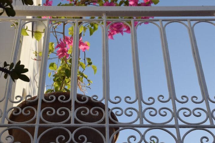 Riad La Cigale photo 2