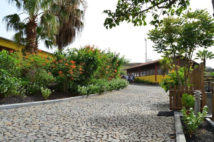 Casas Do Sol photo 4