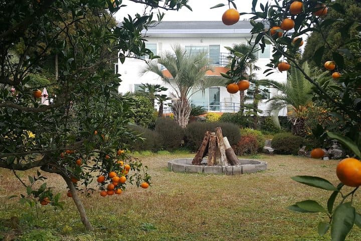 Jeju Casablanca photo 3