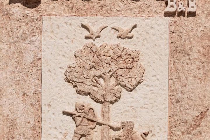 Quercus photo 1