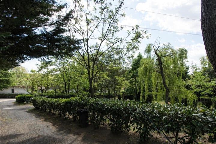 Happy Village & Camping photo 4