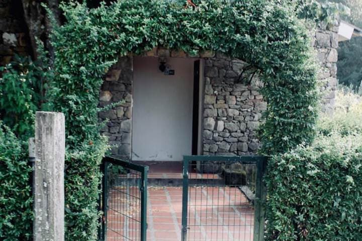 Quinta da Mata photo 2