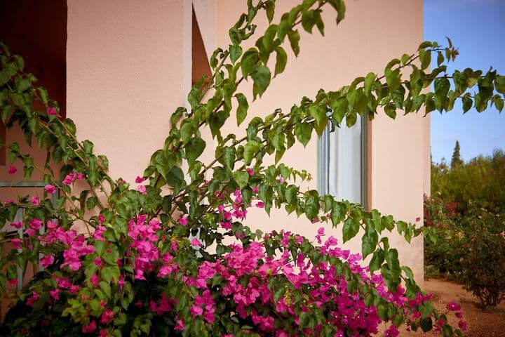 Village Heights Resort photo 2