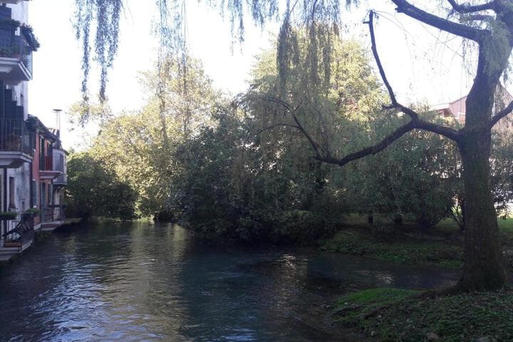 Il Salice photo 1